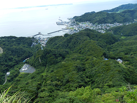 山頂からの景色